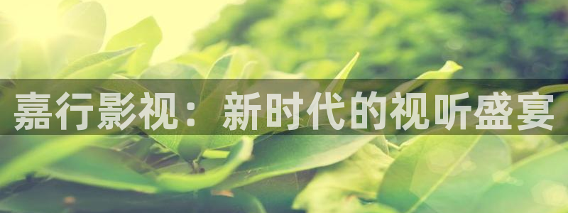 我不卡理论电影