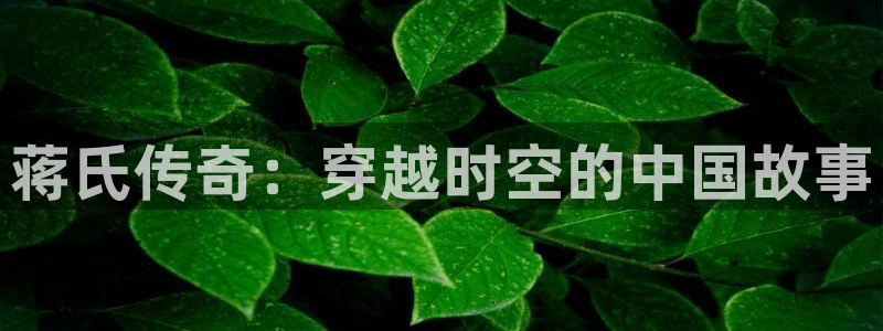 草民理论影院：蒋氏传奇：穿越时空的中国故事