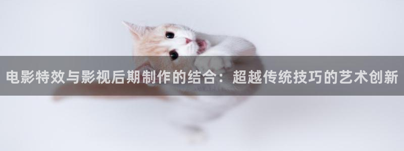 高清理论电影在线