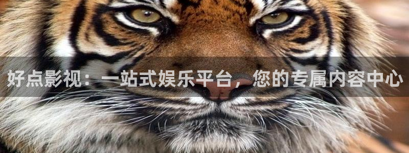 日韩看片理论