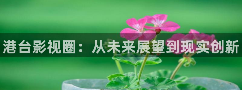 成人理论电影在线